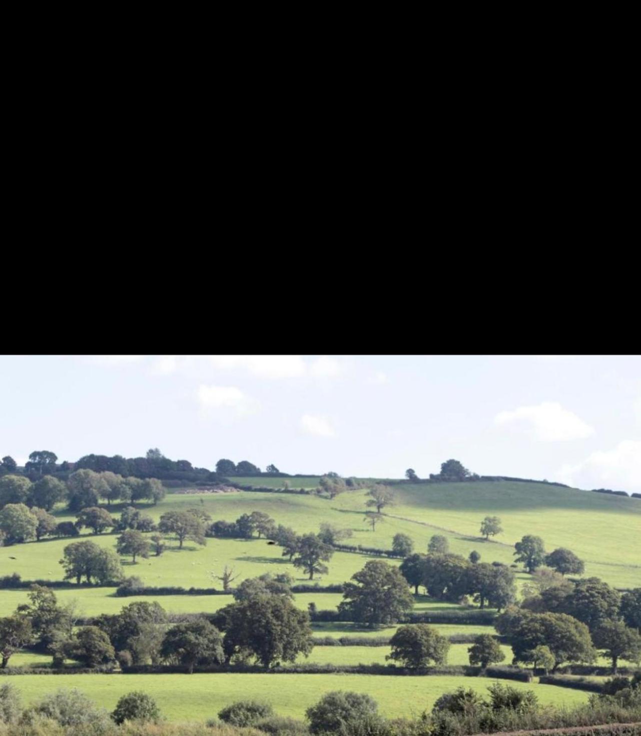 Appartamento Mystique Barn Bristol Esterno foto